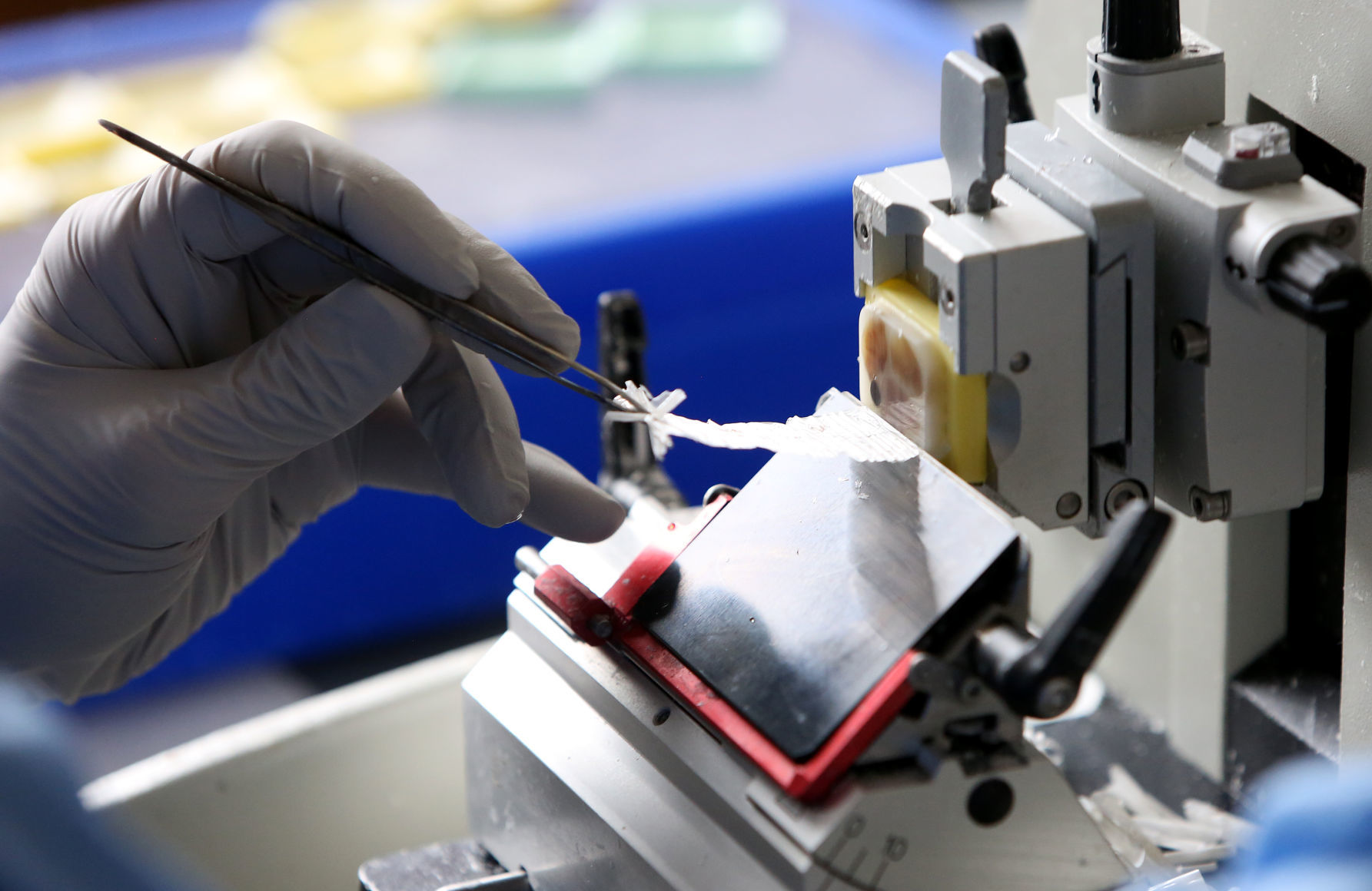 WISCONSIN VETERINARY DIAGNOSTIC LAB (copy)